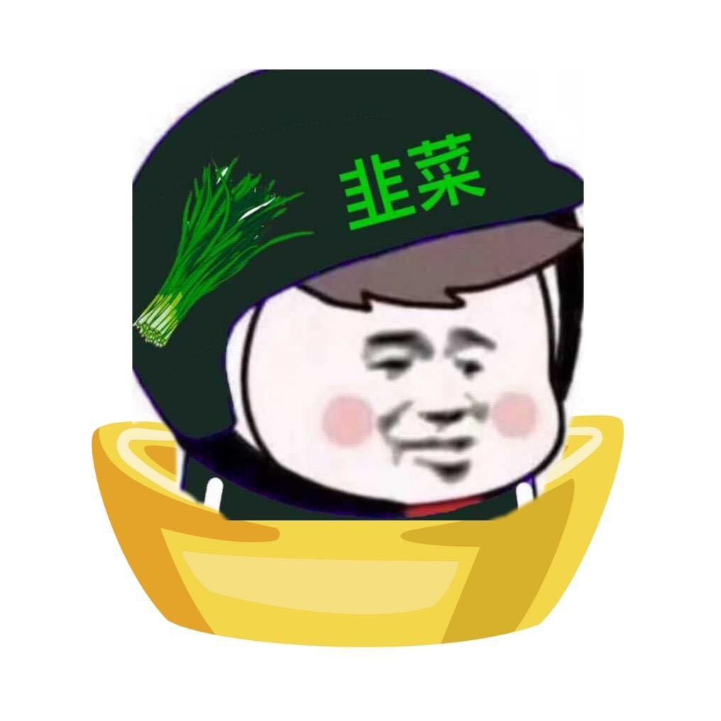韭菜帮帮主的头像-避坑网-只求少走弯路！